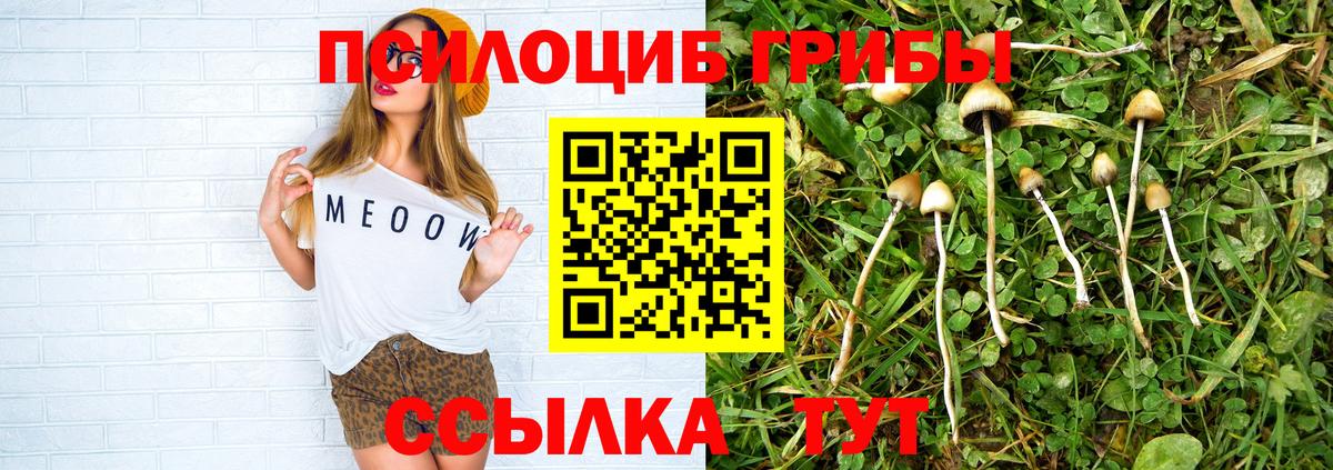 Псилоцибиновые грибы прущие грибы  Вход с VPN  Псилоцибиновые грибы мухоморы  Знаменск 
